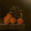Adriaen Coorte, Still Life with Five Apricots, 1704