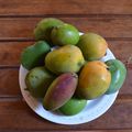 rouguail mangue