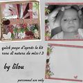 QP kit rosa di natura by Lilou