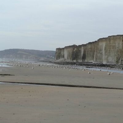 Pays de Caux ... Sur un air iodé
