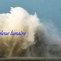 🅢🅨🅝🅒🅗🅡🅞🅝🅞🅜🅔̀🅣🅡🅔 ⚙ Dimanche 26 juillet 2020 ⚙ KIN 119 Tempête bleue (Cauac) guidée par le Singe bleu (Chuen)