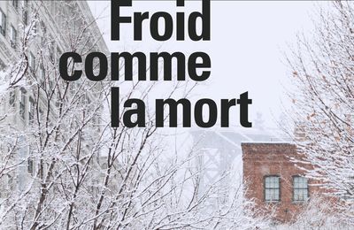 Froid comme la mort, d'Antonio Manzini