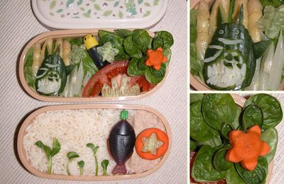 Et voilà, mon tout 1er repas bento !