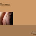 SkinInterface