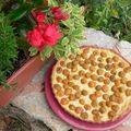 Tarte aux mirabelles