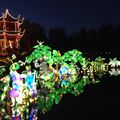 Fête de la Lune 中秋节 (Zhōng qiū jié) 
