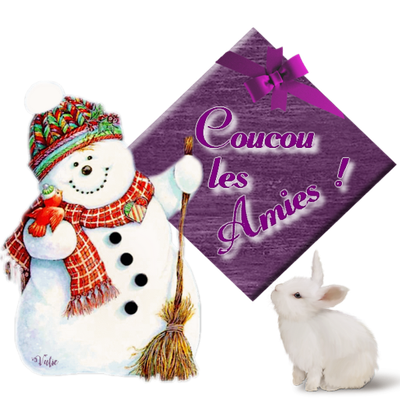 Mes meilleurs voeux et dans ma BAL.....