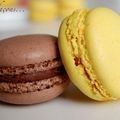 Macarons au chocolat et macarons au citron