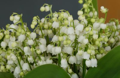 LE BOUQUET DU VENDREDI...