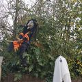 Une sorcière et des fantômes dans mon jardin 