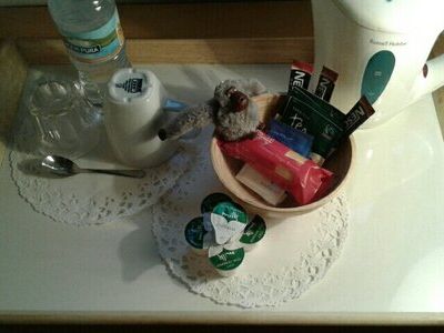 RETOUR EN ANGLETERRE 😀🐵🐒