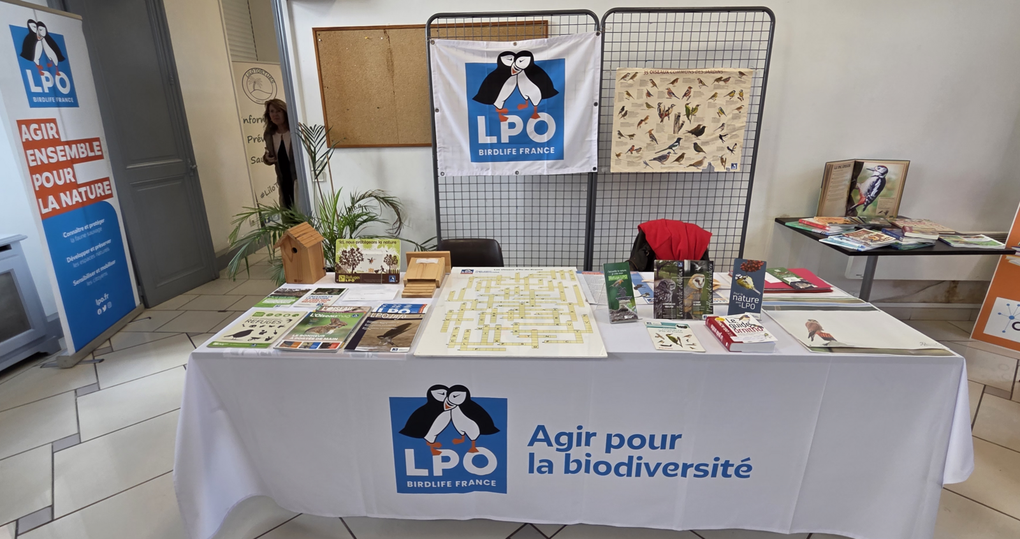 Photographies : ©2025 David de Boisvilliers