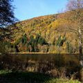 Visite au pied du Ballon d'Alsace - fin - 8/8