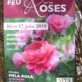 MELA ROSA