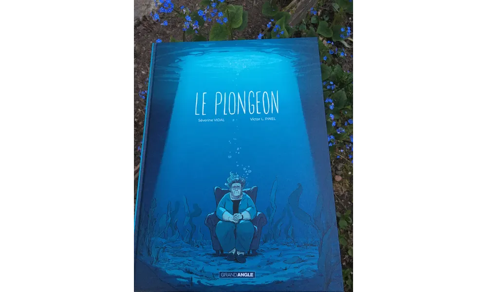 Le plongeon - Séverine Vidal & Victor L.Pinel