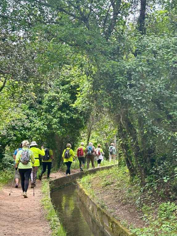 Sortie nature du 10 mai 2025 à Carcès