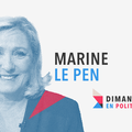DIMANCHE EN POLITIQUE SUR FRANCE 3 N°136 : MARINE LE PEN