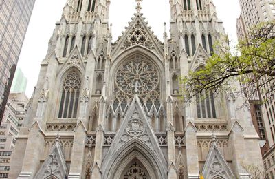 Saint Patrick Cathédral et moi