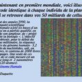 LE DÉCRYPTAGE DU GÉNOME DES ALGÉRIENS : La santé, l'éthique et le business.