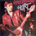CHRIS SPEDDING -" Hurt by love " (1977)