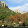 L'automne dans la Forêt de St-Pons, au pied de la Sainte-Baume