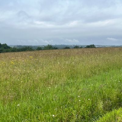 Jour 19 : St Sever - Hagetmau 17km = 361km