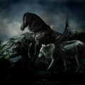 cheval et loup