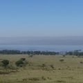 Nakuru, le lac et ses alentours