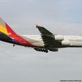 Aéroport: Toulouse-Blagnac(TLS-LFBO): Asiana Airlines: Airbus A380-841: HL7634: F-WWAF: MSN:179.