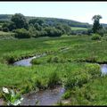 Les prairies paratourbeuses...