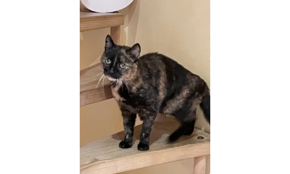 [GRIF' Abrite] Comment bien vieillir : Kamala 14 ans