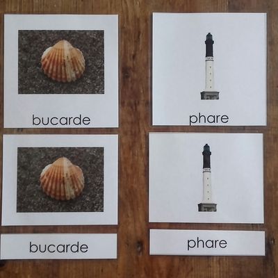 Les vacances en bord de mer!