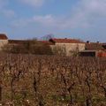 Château Lacapelle-Cabanac, l'incontournable