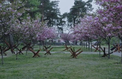Festival de Cannes 2025- Quinzaine des Cinéastes  : Militantropos : la guerre en Ukraine sous une multitude de points de vue