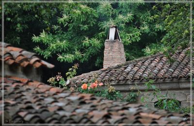 Dans le Village de "ChasseLoup" du Puy du Fou.