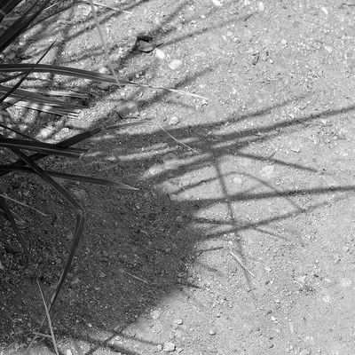 jeu d'ombre et de lumière 