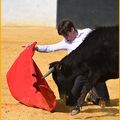 La Peña Christian Parejo en Andalousie