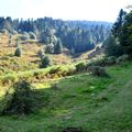 Un jour en forêts d'Aspe Barétous, le 3 octobre 2012...