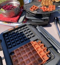 Du champs à l’assiette 