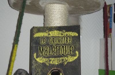 Le Grimoire maléfique - Béatrice Bottet