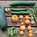 Cueillir ses fruits et légumes sans avoir un jardin !