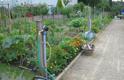 Jardins partagés de Tarnos, une grande réussite