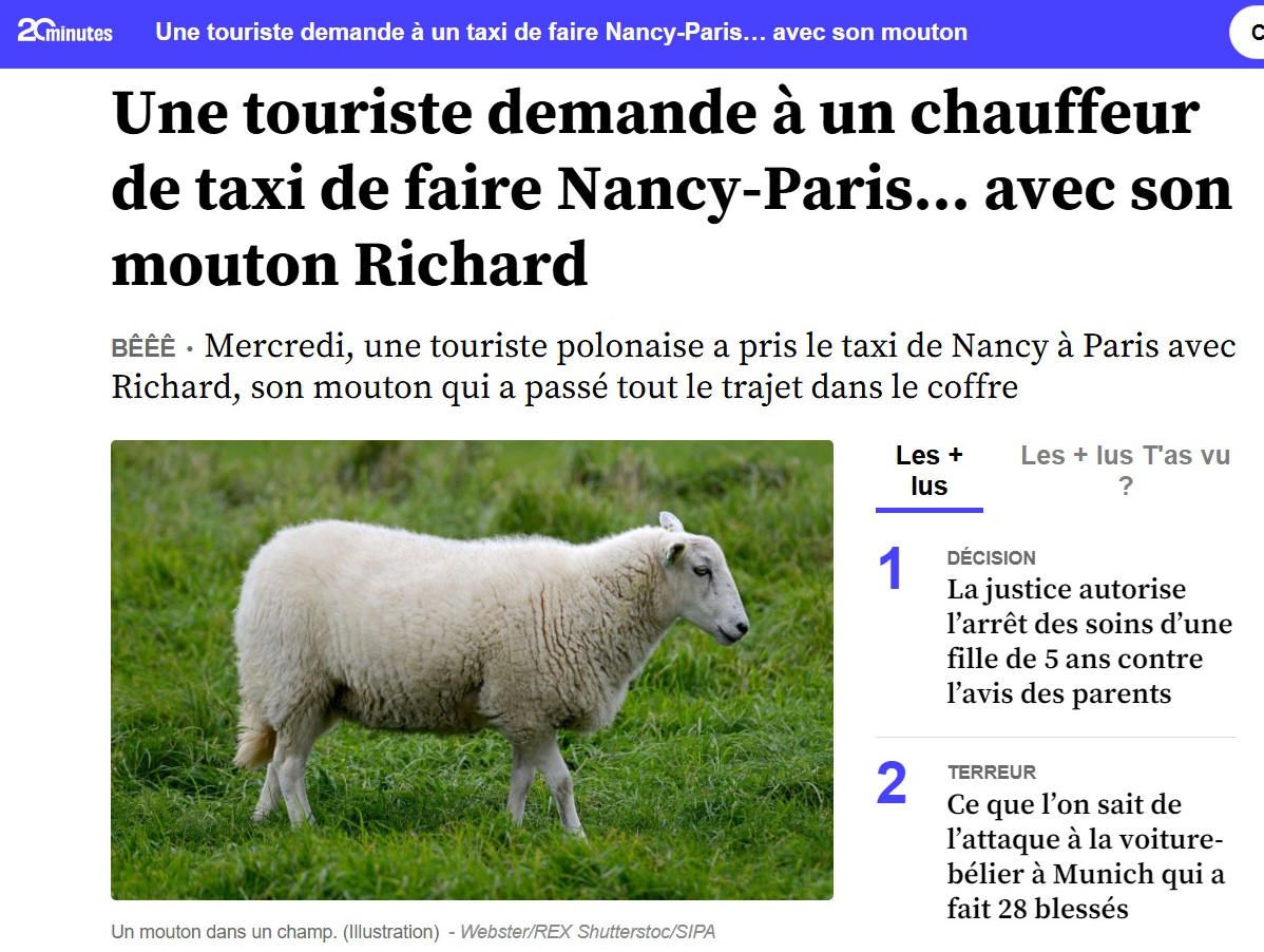 Prendre un mouton
