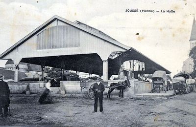 Accident mortel sur la route de Joussé à Usson-du-Poitou.