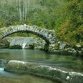 Ponts et cascades