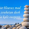 Bloavez mad… électronique