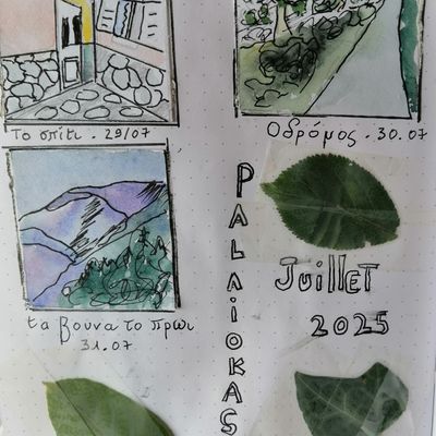 Bullet Journal # Aquarelles en sticks 