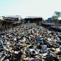 Nouvelles photos " sècherie de poissons de la petite côte" dans l'album AFRIQUE 3