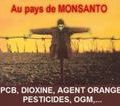  Monsanto 