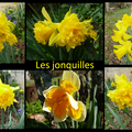 Le printemps au jardin